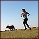 Dog breeds suited for active people